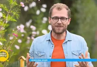 "Co z tego wyrośnie?" Łukasz Skop radzi jak pielęgnować jesienne kwiaty