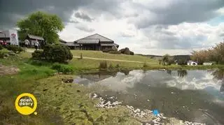 Mistrzowie szybkiego liczenia - napisy