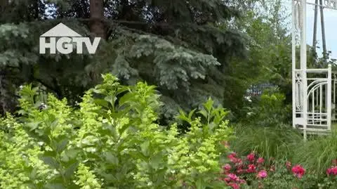 HGTV_NMWO_Chwasty
