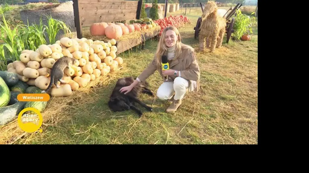 DD_20220915_Pogoda_REP