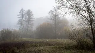 Pogoda na jutro. Czy czeka nas ocieplenie?