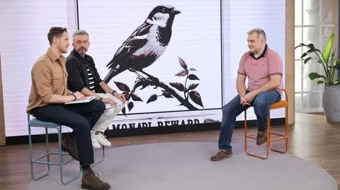 Dlaczego jest coraz mniej wróbli? 