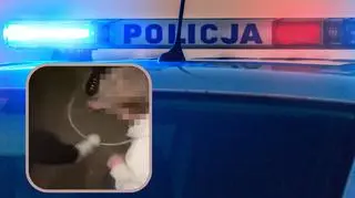 Grupa nastolatków ugotowała ptaka żywcem. Nagranie pokazali w sieci. "Treść była zatrważająca"