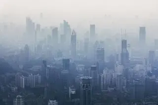 Czy smog sprzyja tyciu? 