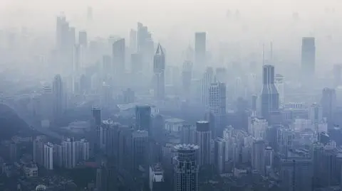 Czy smog sprzyja tyciu? 