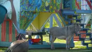 Artystyczne podwórko