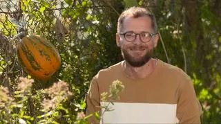 Popularne rodzaje dyni. Jak je rozróżnić? 