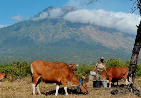Agung – najwyższy wulkan na Bali i jego niszczycielskie erupcje