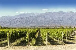 Mendoza - miasto gór i wina