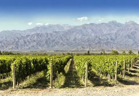 Mendoza – miasto gór i wina