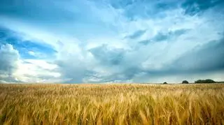 Pogoda na dzisiaj. Czy nadal będzie upalnie?