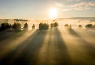 Jak powstaje mgła i jakie są jej rodzaje?