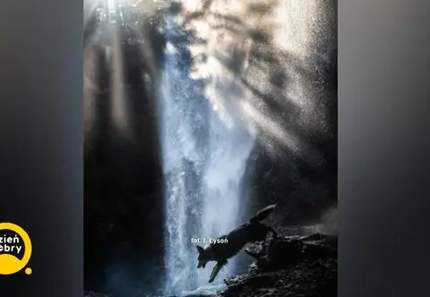 Polka wyróżniona w ogólnoświatowym konkursie fotograficznym. Jak powstało to wyjątkowe ujęcie?