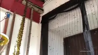 Uwaga! TVN: Mieszkańcy Niemodlina zmagają się z plagą much