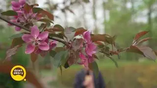 Pogoda na dziś