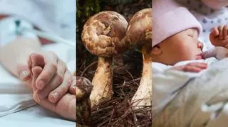 Ostatnie namaszczenie Kamilka z Częstochowy. Urodziło się dziecko z trzema rączkami. Za 1 kg tych grzybów, można zarobić ponad 8 tys. zł