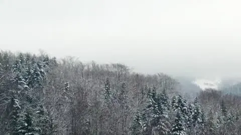 DD_202230215_Klimczok_REP