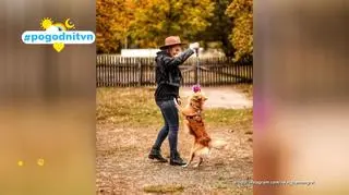 Pogodni TVN