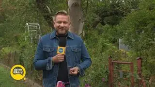 Jesień na działce