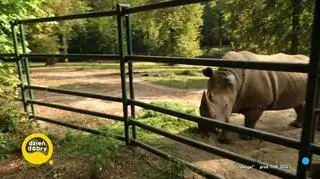 Co się działo w poznańskim ZOO