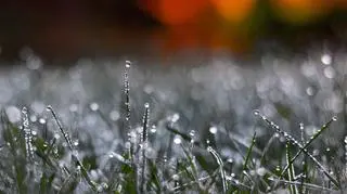 Pogoda na czwartek. Jaki będzie ostatni dzień lutego?