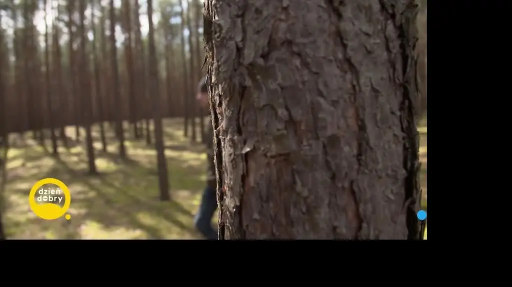 DD_20230415_Pluca_rep_REP