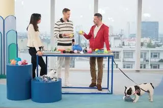 Jak wybrać zabawkę dla psa? 