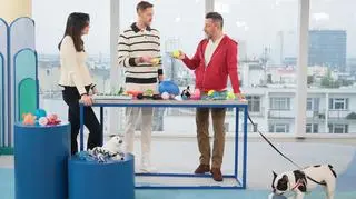 Jak wybrać zabawkę dla psa? 