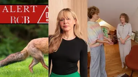 Podsumowanie dnia - 4 listopada 2023 r.