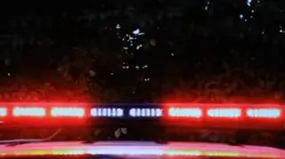 Wychudzony 15-latek i 8 zaniedbanych psów w jednym pokoju. "Smród był nie do wytrzymania"