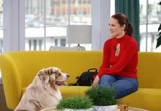 Te psy śpiewają Bon Joviego. Internauci: "Niesamowita energia, cudowne"