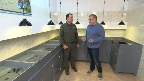 Żółwie w Polsce