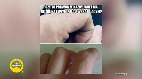 DD_20230124_Blizna_REP