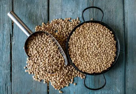 Soczewica, czyli bogate w białko superfood. Jakie jeszcze ma właściwości?