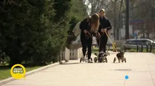 Takie lekcje powinny odbywać się w każdej szkole