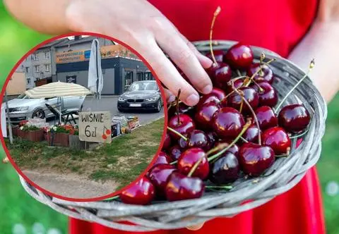 16-latka dorabiała do wycieczki. Odwiedził ją sanepid. "Sprzedawała wiśnie z sadu"