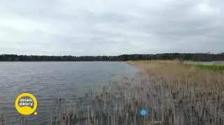Karp nie tylko od święta