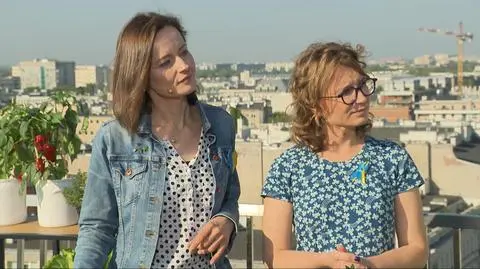 "Miejskie ogrodnictwo". Co, gdzie i kiedy siać?