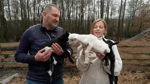 Pasjonaci zwierząt