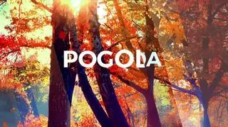 Prognoza pogody na 9, 10, 11 listopada