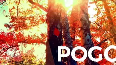 Prognoza pogody na 9, 10, 11 listopada
