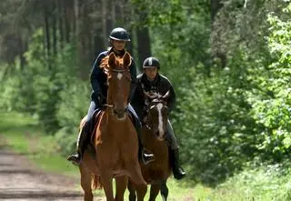 Miłość bez granic. "Gdyby nie konie, to byśmy się nigdy nie spotkali" 