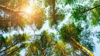 Pogoda na środę. Wysokie temperatury i burze z gradem