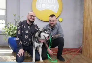 W schronisku znajdziesz nie tylko kundelki