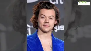 Harry Styles został skrytykowany przez byłego gitarzystę zespołu Oasis. "Pan Gallagher mógł się bardziej wysilić" 