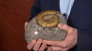 Kolekcja skamielin, które mają ponad 160 mln lat. "Fantastycznie dokumentują to, co się wtedy działo"