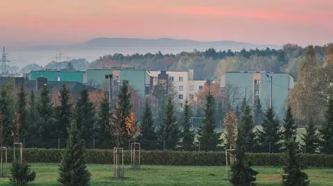 Tychy – jakie atrakcje warto zobaczyć w mieście i okolicy?