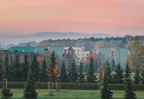 Tychy – jakie atrakcje warto zobaczyć w mieście i okolicy?