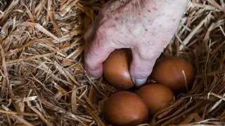 Stuletnie jajko, czyli nietypowy rarytas prosto z Chin. Jak smakuje i gdzie można je kupić?