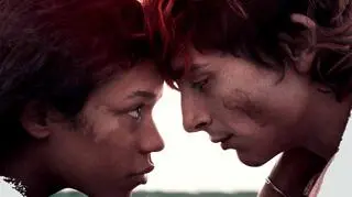 Wkrótce premiera filmu "Do ostatniej kości". W jaką rolę wcielił się Timothée Chalamet?